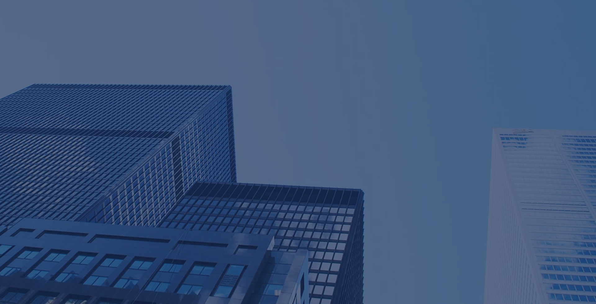 دي إي انترناشيونال هولدينغ ليميتد