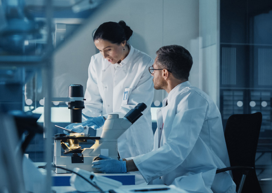 شركة جلوبال فيرتيلتي بارتنرز