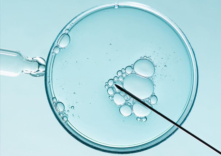 شركة جلوبال فيرتيلتي بارتنرز