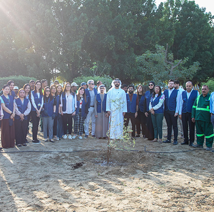 Ghaf Tree Plantation